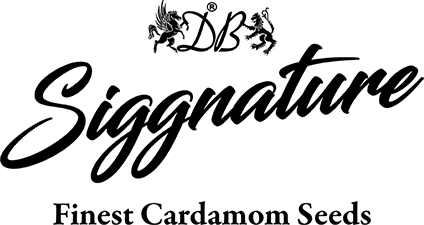 db-signature-black[1]